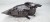 REFLEKTOR PRAWY AUDI A4 B8 LIFT UK 8K0941004M BDB