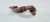 RURA PRZEWÓD EGR AUDI VOLKSWAGEN SEAT SKODA 1.9 TDI 038131521CD