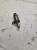 ZAWÓR NASTAWCZY AUDI VW SEAT TFSI 06E103697Q