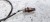CZUJNIK TEMPERATURY SPALIN AUDI A4 A5 04L919529E